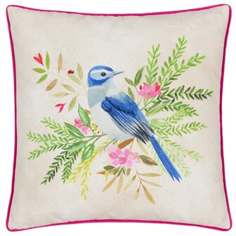 Daisy Hill Bluebird voorkant