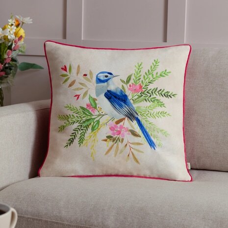 Daisy Hill Bluebird
