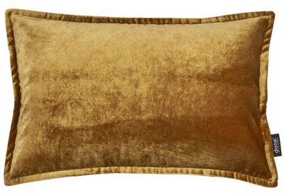 Velvet - goud 40x60