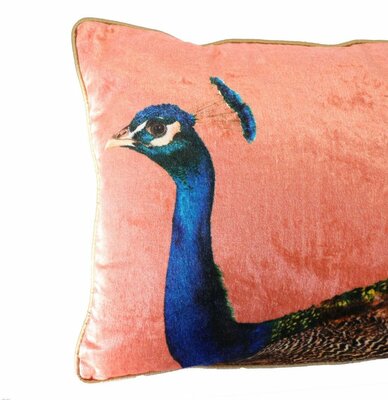 Pauw - roze 40x60