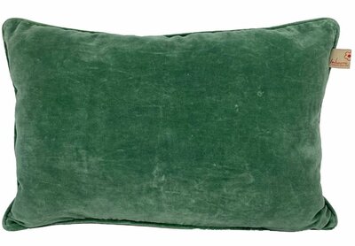 Velvet groen 40x60