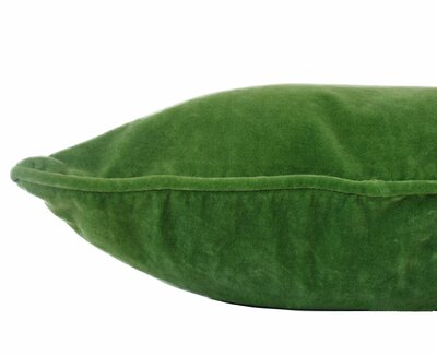 Velvet appelgroen 40x60