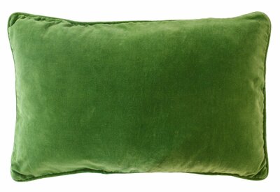 Velvet appelgroen 40x60