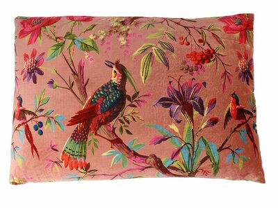 Velvet paradise - roze 40x60