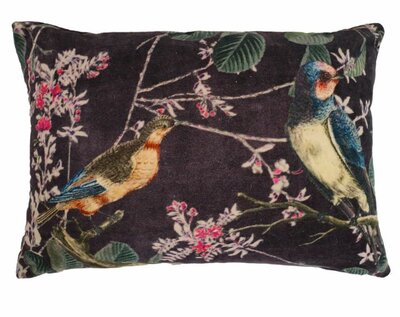 Velvet kussen met vogels met bloesem 40x60