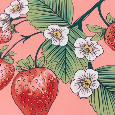 Buitenkussen - Anemone Strawberries – 43x43 cm 