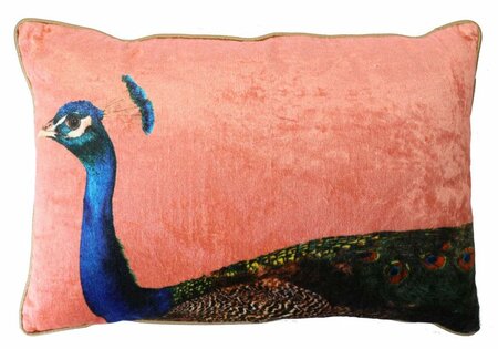 Pauw - roze 40x60