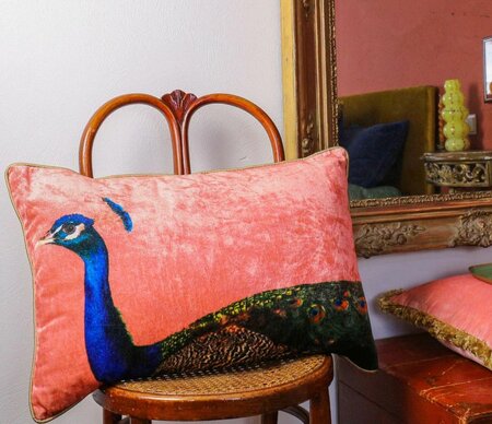 Pauw - roze 40x60