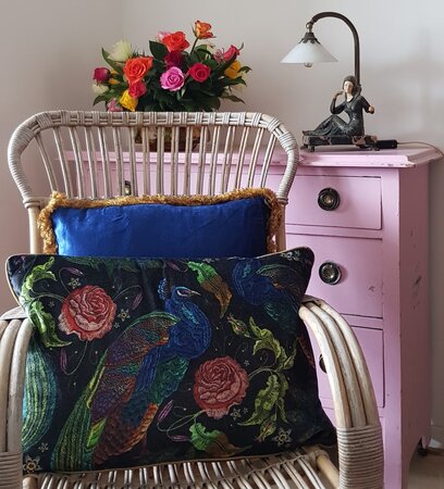 Pauw - zwart 40x60