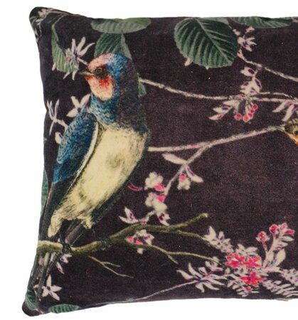 Velvet kussen met vogels met bloesem 40x60