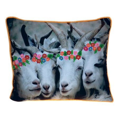 Cushion goats 